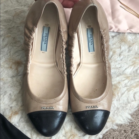 Meet your Posher, Camila - Picture 1 of 1